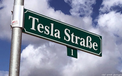 Tesla-Werk in Grünheide: Aufforstungen sind im Gange