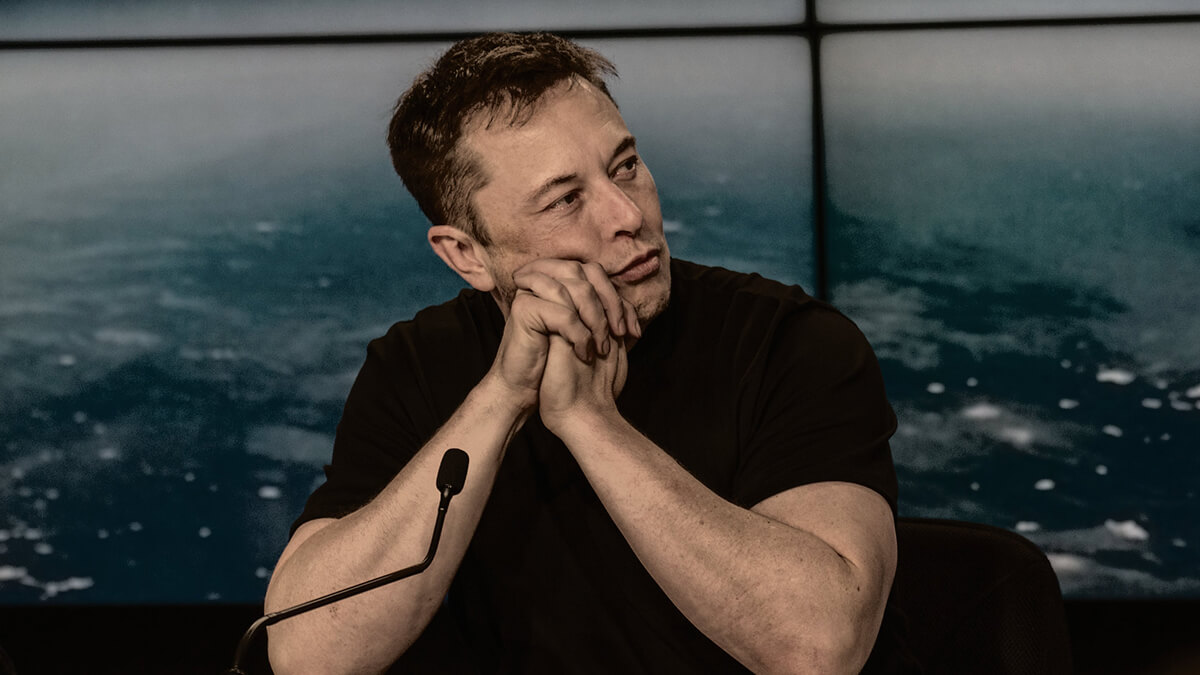 UFC-Kämpfer fordert Tesla-Chef Elon Musk zum Kampf heraus