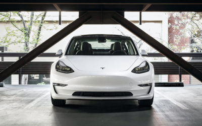 „Elon-Musk-Fanboy“ hält Tesla-Aktien im Wert von über 4 Milliarden Dollar