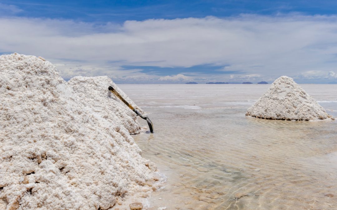 Tesla erwägt Einstieg in Lithium-Geschäft nach Preisexplosion