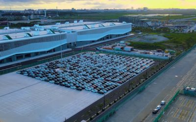 Rund 7.000 Tesla Model Y für Transport nach Europa bereit: Warten auf Frachter