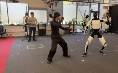Teslas Optimus-Roboter lernt Kung Fu: Video zeigt Fähigkeiten ohne Fernsteuerung